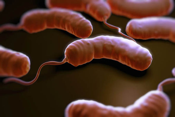 How historic deadly diseases are making a comeback How historic deadly diseases are making a comeback